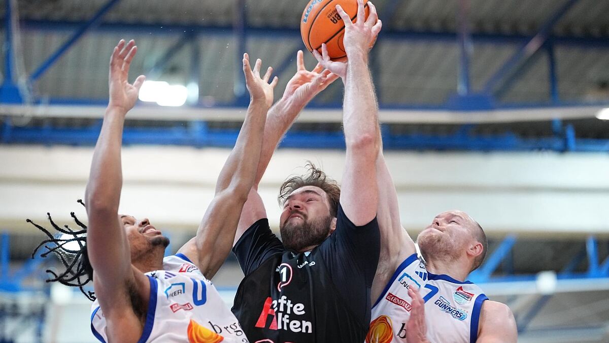 Daniel Köppel_Bulls