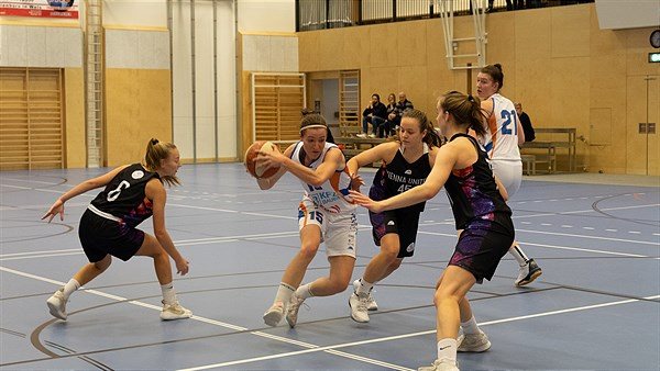 BDSL Themenfoto