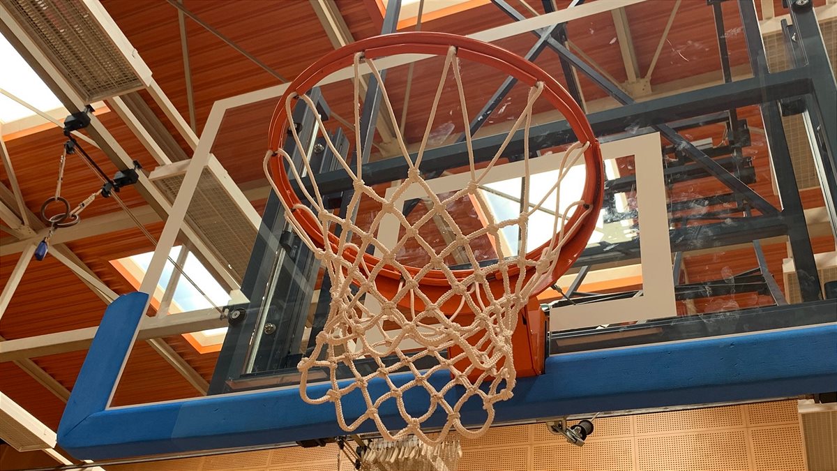 Korb (Verwendung frei nur für diesen Beitrag vom 30.10.2020)