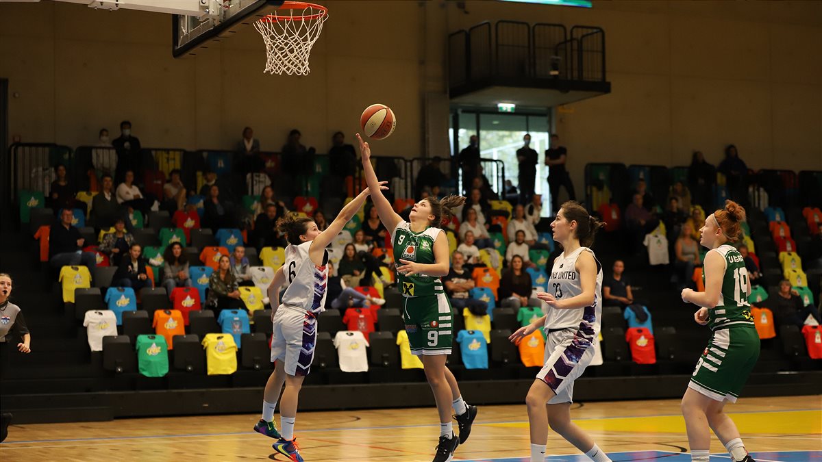 Themenbild UBI vs Vienna