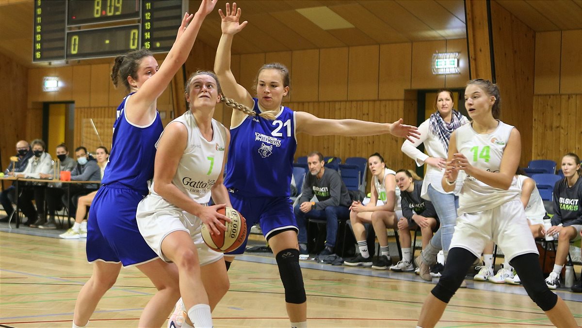 Flames vs Timberwolves Themenbild