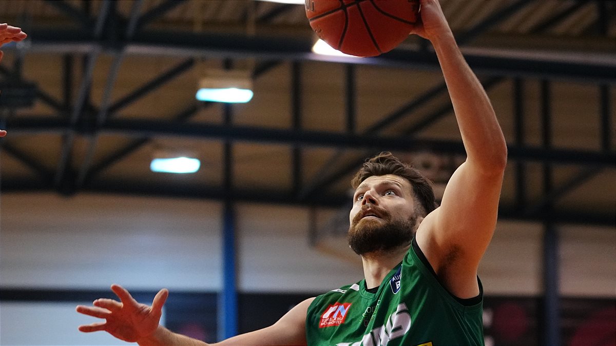 B2L22_Lions_Zaraidonis 