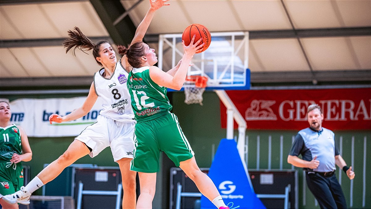 Themenbild Timberwolves vs KOS 