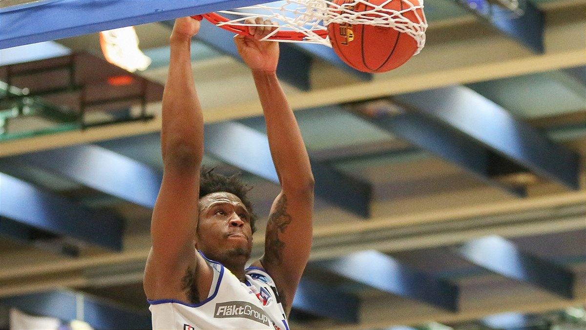 BSL22_Swans_ Aughburns