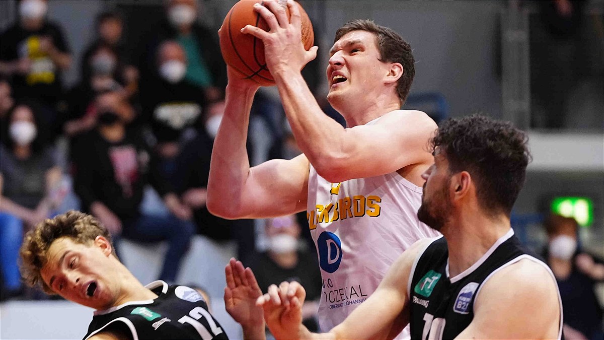 B2L22_Blackbirds_Koch S