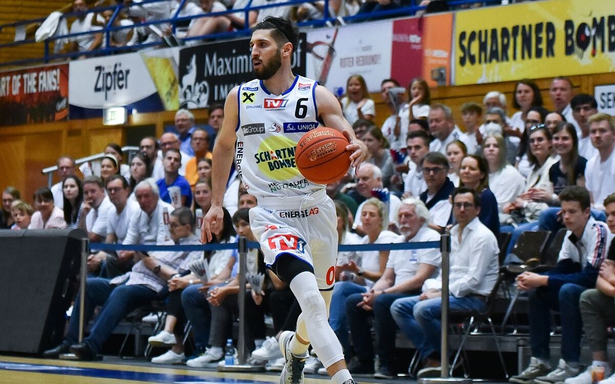 BSL22_Swans_Friedrich