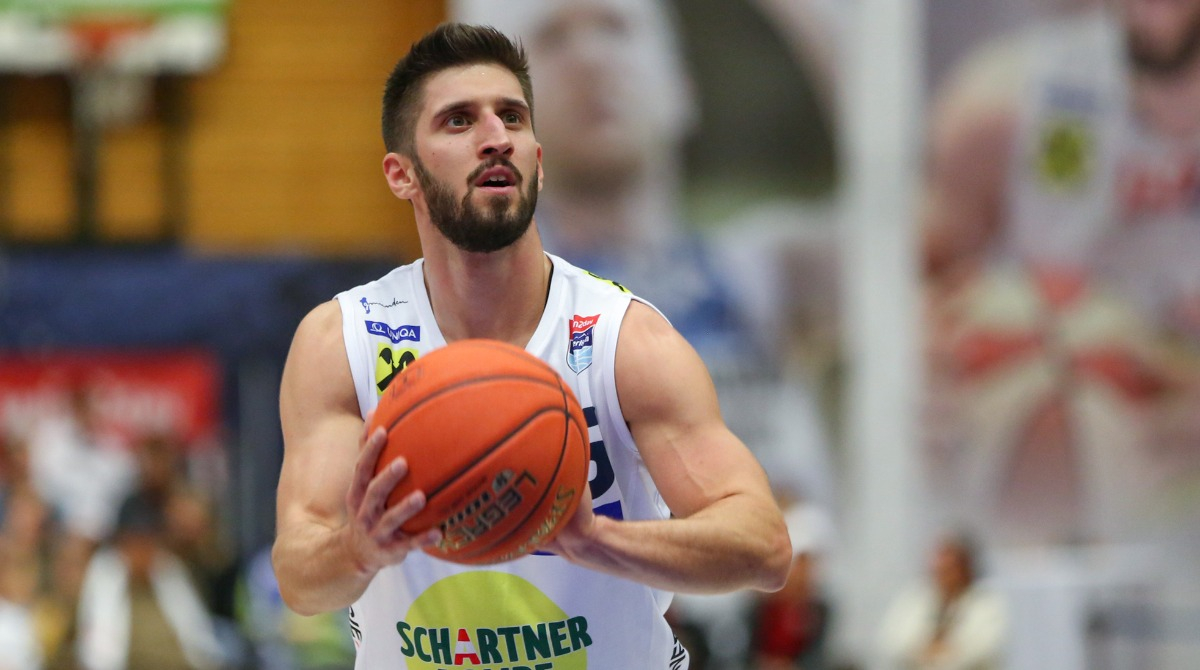 BSL23_Swans_Friedrich