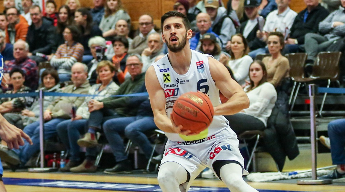 BSL23_Swans_Friedrich