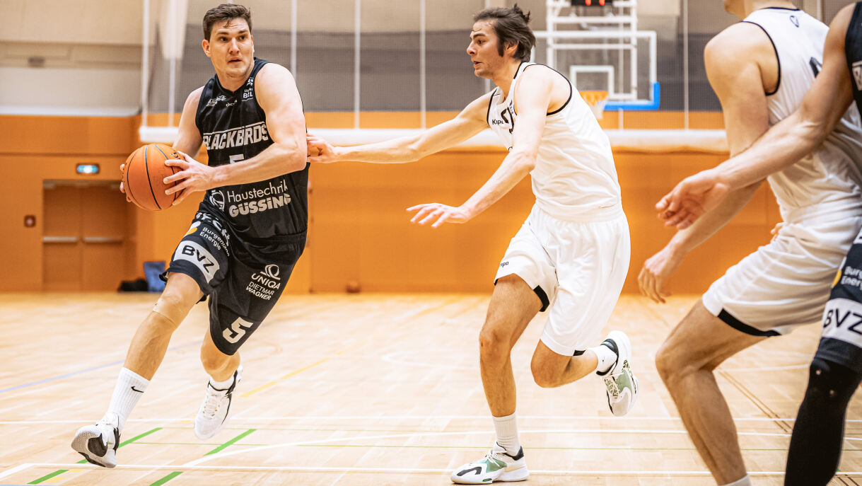 B2L - Güssing Blackbirds