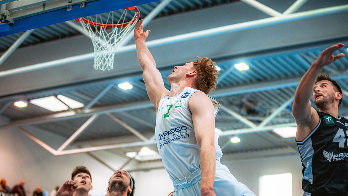 Alligators_Luis Göd