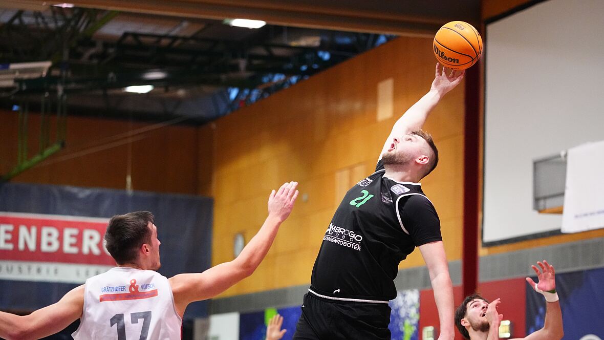 B2L_Alligators_Drgon Matej