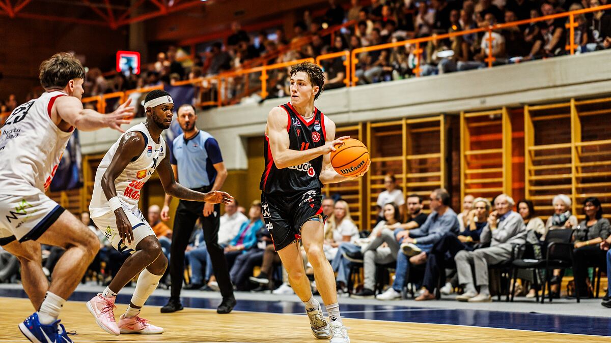 druck.at Traiskirchen Lions