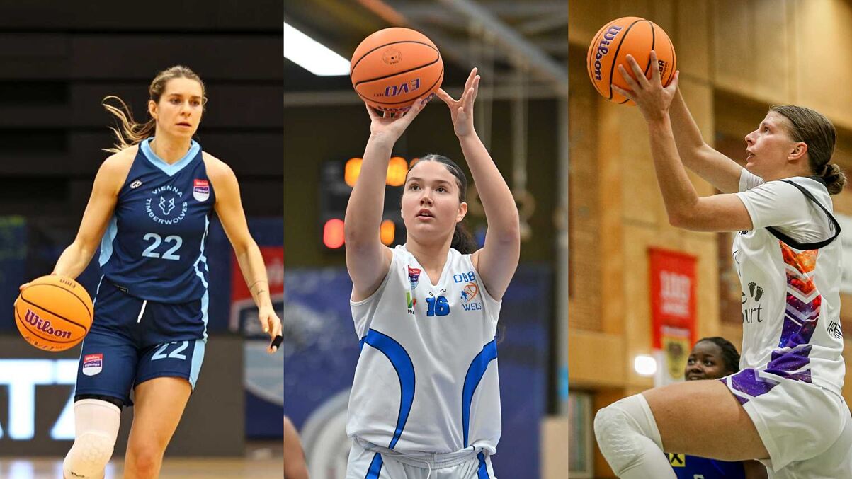 KronfußKuranovicReissner