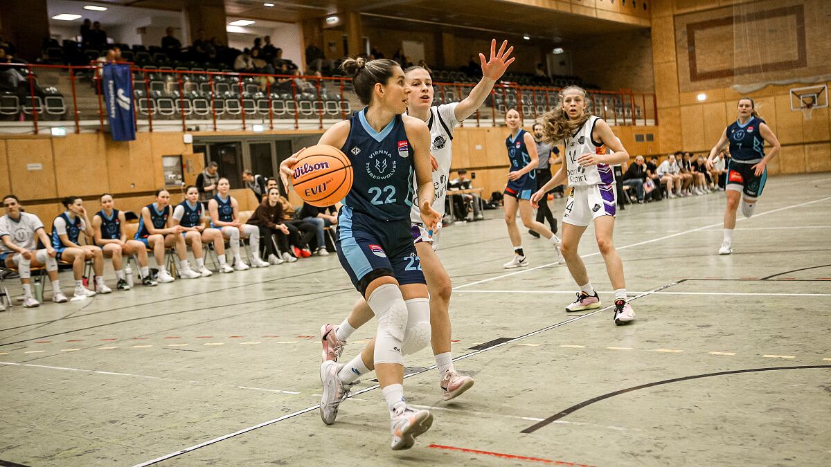 Timberwolves_Clara Kronfuß